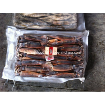 Best Quality Illex Argentinus Frozen Illex Squid